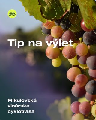 Pálava, vinohrady a UNESCO na jednej trase. 🍇 Mikulovská vinárska cyklotrasa ponúka oveľa viac, než by ste čakali! Miesta,...