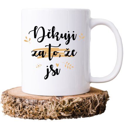 diky za to ze jsi