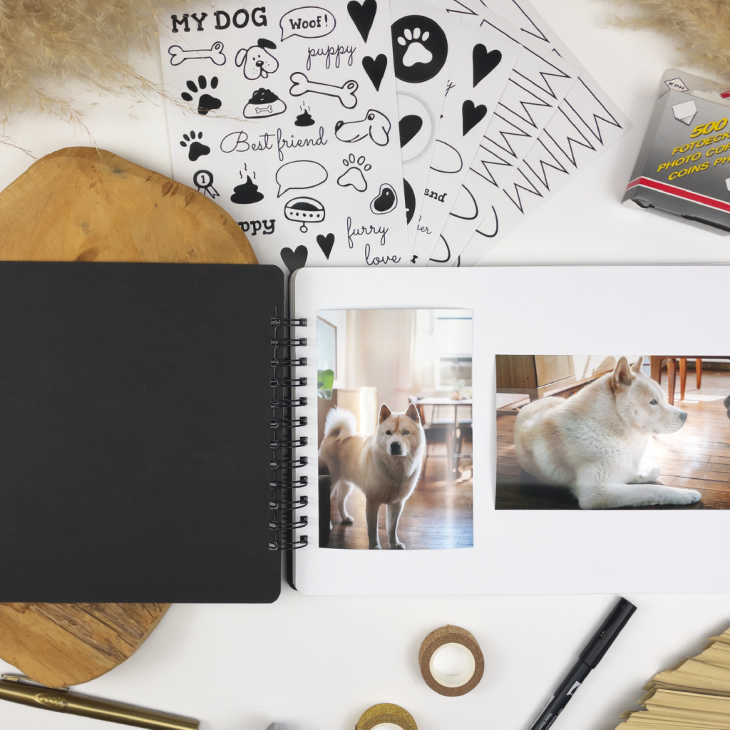 Nejkrásnější dárek pro pejskaře: fotoalbum pro pejsky plné vzpomínek