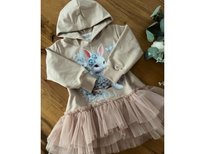 6BFDBC32 9FDD 4579 8DC5 676C911DE648