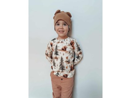 2934e07117bb6c552d88f7ad170e8604