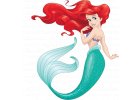 Ariel