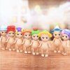 Sonny Angel Flower Blind Box