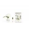single rose ivory white clear glass with box 800x