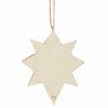 Black and Gold Nativity Star (Ornament)