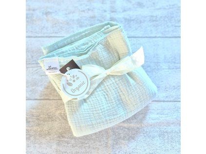 1385 detska osuska bio mint