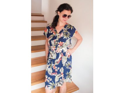 Dámské šaty Hvozdík modré