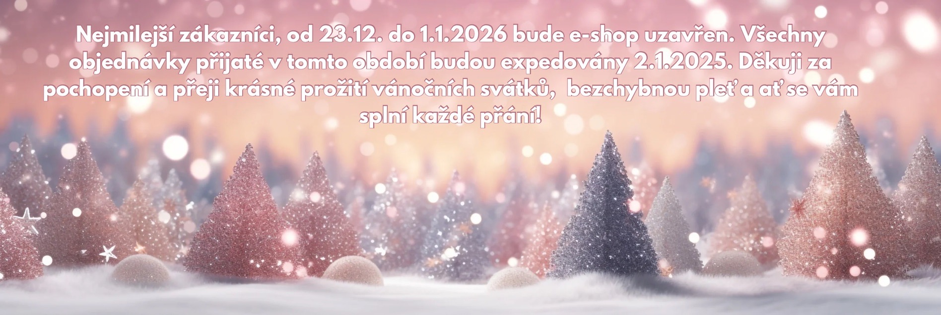 Vánoční dovolená 2024