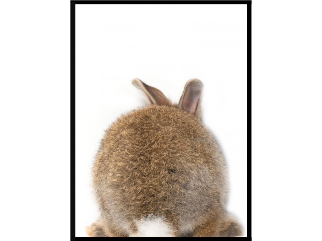 Plakát Big friends - králík ocásek