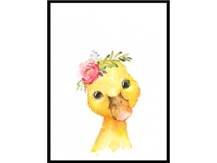 Plakát Domácí zvířátko káčátko s kytičkou