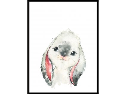 Plakát Domácí zvířátko králíček