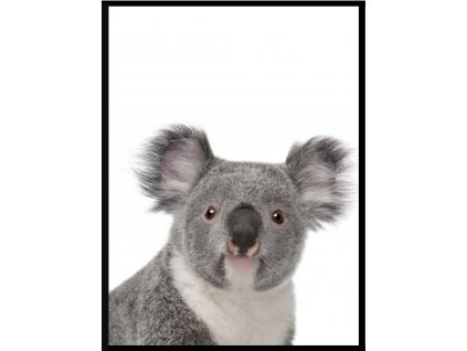 Plakát Big friends - koala