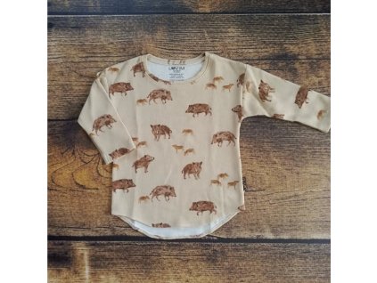 565358833 18023766110764580 2742880569829888591 n