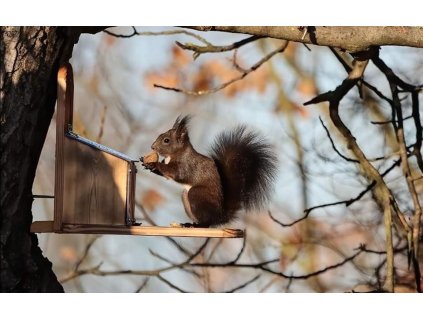 Krmítko pro veverky