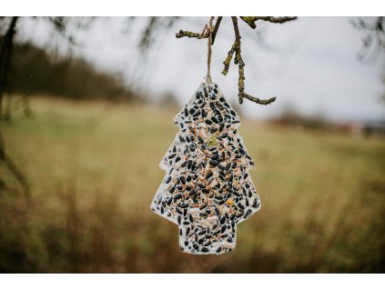 klasil stromek střední