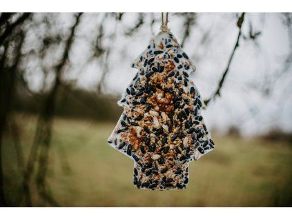 ořech stromek střední