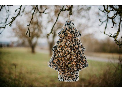 ořech stromek velký
