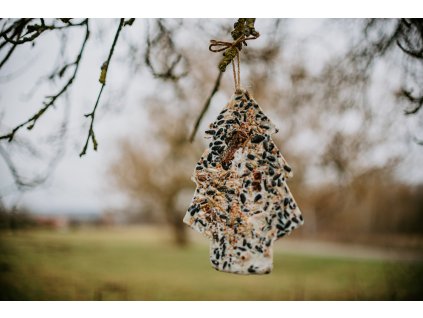 kobylky stronek střední