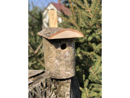 Březová hnízdní budka