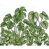Termohrnek "Monstera jungle" – zelená harmonie