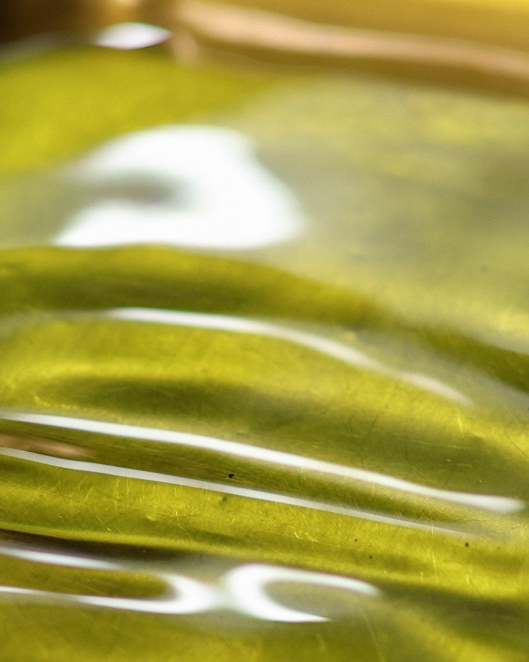 Čerstvý olej je tu! Sklizeň 2025/2026