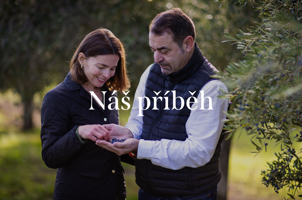 Náš příběh mobil