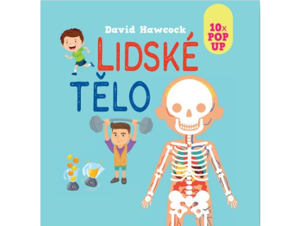 Hlavní