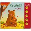 Hlavní