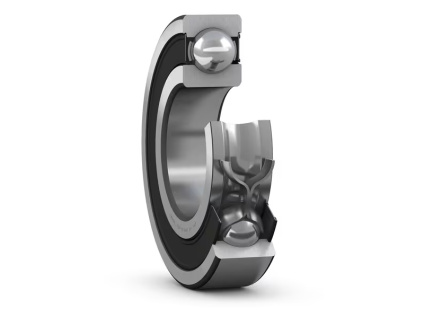 6019 SKF