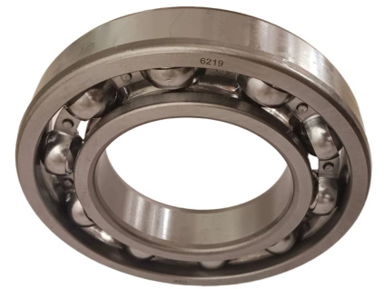 6219 SKF
