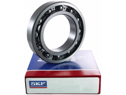6012 SKF