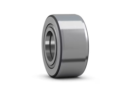NUTR 50110 A INA