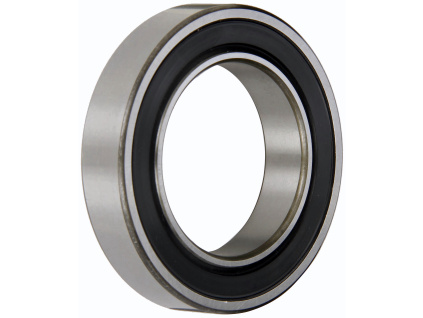 6010 2RS SKF