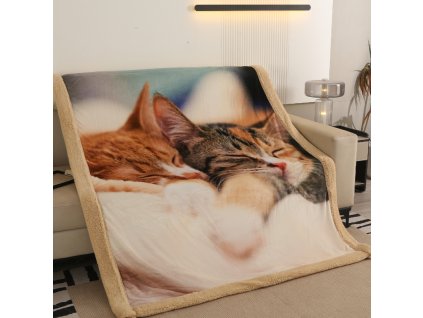 microflanelova deka s berankem kocici duo