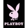 Deka PLAYBOY mikroplyš a beránek 150x200cm