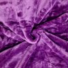 Mikroplyšové prostěradlo APEX 180x200cm - Fialové
