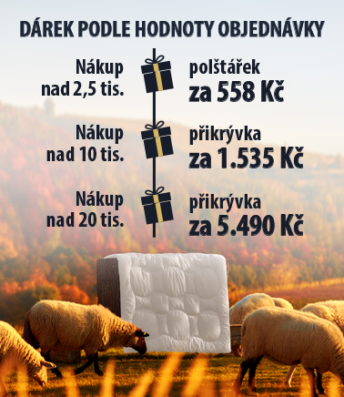 Dárky k nákupu