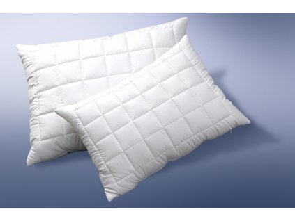 Vyvařovací polštář Clinisan (Varianty 2ks 50x70cm zip+vak (500 g))