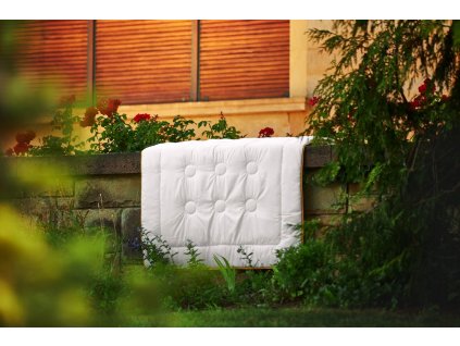 Antibakteriální přikrývka (Varianty 135 x 200 cm, CELOROČNÍ (300 g/m²), zlatá lemovka)