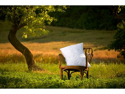 Polštář Silver Origin (Varianty 35x35 cm bez zipu (260g))