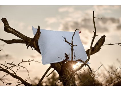 Péřový polštář Swiss Dream Soft pillow CLC 90 (Varianty 50x70 cm (110+700 g))