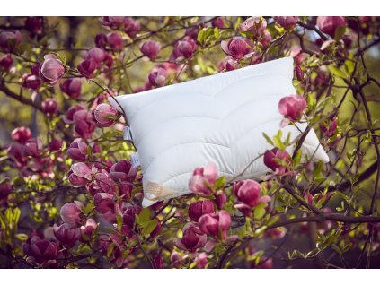 Polštář Greenfirst s protiroztočovou úpravou (Varianty 70x90 cm zip+vak (1200 g))