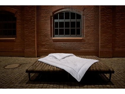 Přikrývka Silver Origin (Hřejivost letní, Rozměry přikrývky 200x220 cm)