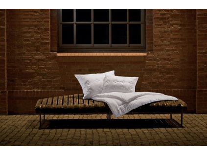 Celoroční set Silver Origin (Varianty set: 50x70 cm zip (500g) + 140x200 cm (300g/m²))