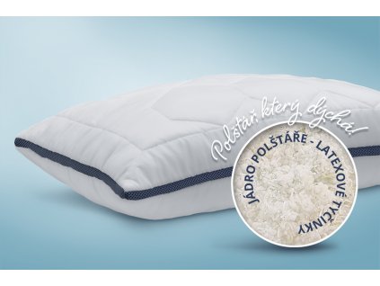 Polštář Traumwell (Varianty 40x40 cm (300g), Taška (balení) výrobku taška z PVC na zip)