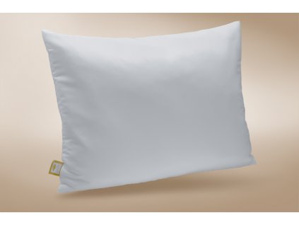 Polštář Mirabell Travel (Varianty 50x70 cm bez zipu (500 g))