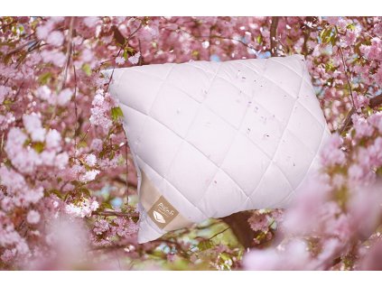 Polštář Dreamsun (Varianty 50x70 zip+vak (500 g))