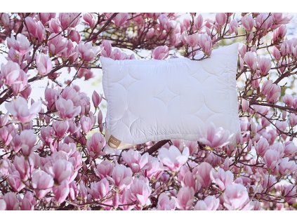 Polštář Lyocell (Varianty 2ks 70x90 cm zip+vak (900 g))