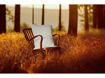 Péřový polštář Comfort s úpravou proti roztočům (Varianty 50x70 cm (600 g))