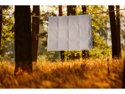 Péřová přikrývka Comfort s úpravou proti roztočům (Varianty 140x200 cm (600 g))